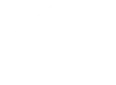 logo-repairingtheruins